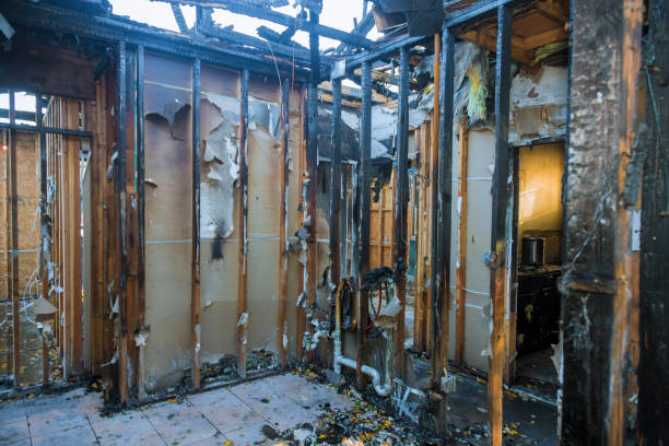 Professional Fire Damage Repair technician working in Hudson, IL